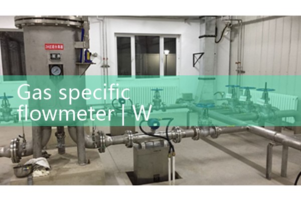Gas specific flowmeter